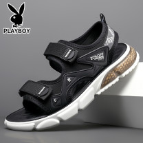 Playboy - HH8622